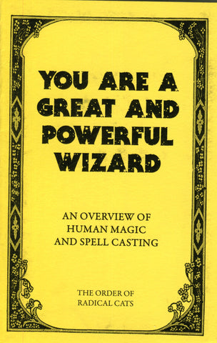 You Are a Great and Powerful Wizard